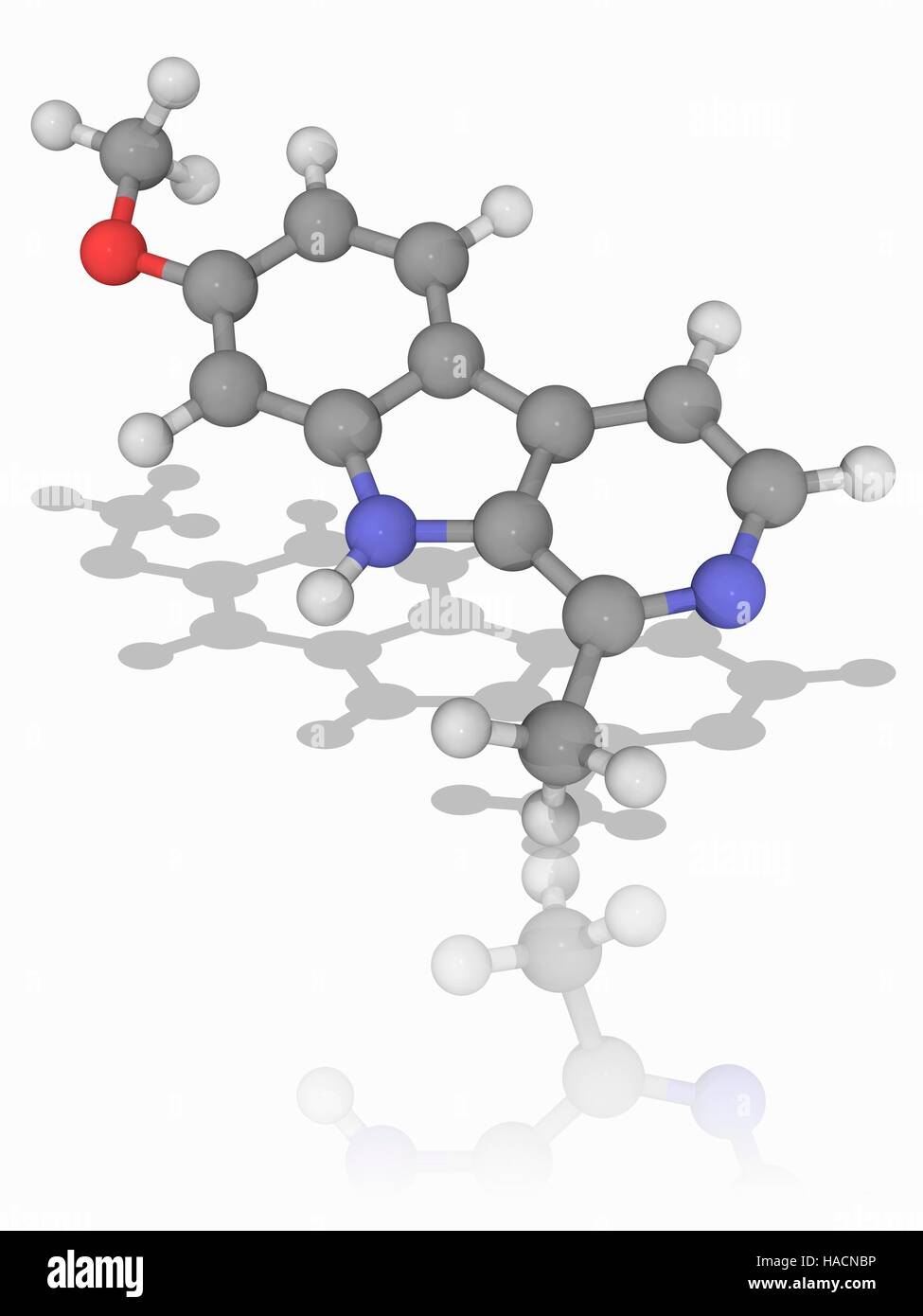 Harmine. Molecular model of the drug harmine (C13.H12.N2.O), a fluorescent harmala alkaloid that occurs in several different plants. As a drug, it slows the breakdown of neurotransmitters by reversibly inhibiting the enzyme monoamine oxidase A. Atoms are represented as spheres and are colour-coded: carbon (grey), hydrogen (white), nitrogen (blue) and oxygen (red). Illustration. Stock Photo