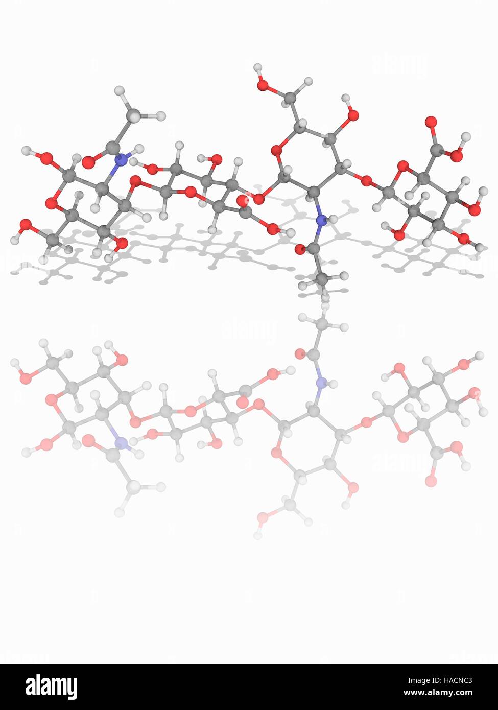 Hyaluronan hires stock photography and images Alamy