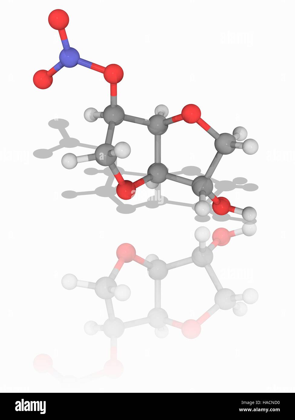Isosorbide mononitrate. Molecular model of the nitrate-class drug isosorbide mononitrate (C6.H9.N.O6), used to treat angina pectoris. It dilates blood vessels to reduce blood pressure. Atoms are represented as spheres and are colour-coded: carbon (grey), hydrogen (white), nitrogen (blue) and oxygen (red). Illustration. Stock Photo