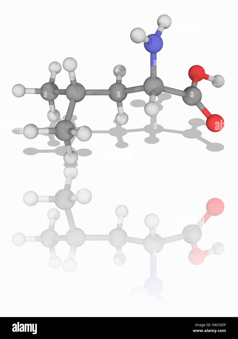 Alpha amino acid Cut Out Stock Images & Pictures Alamy