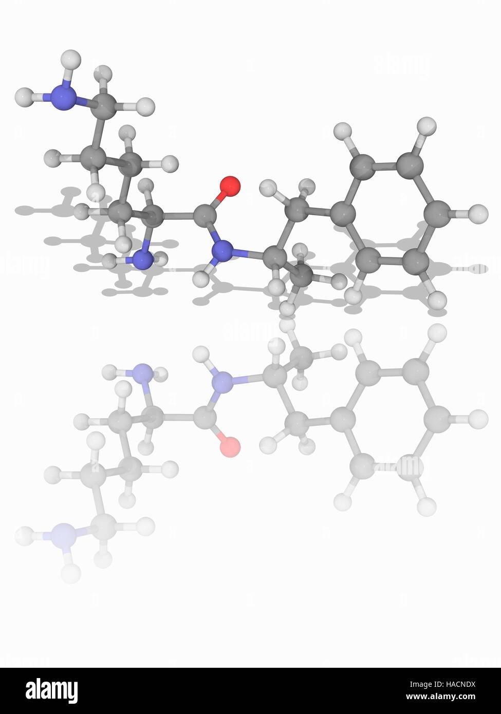 Lisdexamfetamine. Molecular model of the psychostimulant drug lisdexamfetamine (C15.H25.N3.O), also known as lisdexamphetamine. This chemical is a central nervous system stimulant. It acts as a prodrug to dextroamphetamine upon cleavage of the lysine portion of the molecule. Atoms are represented as spheres and are colour-coded: carbon (grey), hydrogen (white), nitrogen (blue) and oxygen (red). Illustration. Stock Photo
