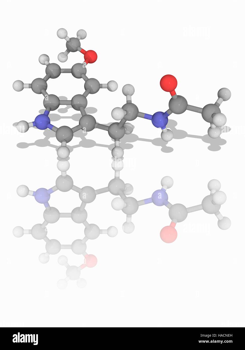Melatonin. Molecular model of the hormone melatonin (C13.H16.N2.O2), a naturally occurring compound found in animals, plants and microbes. Its effects in animals include sleep timing, blood pressure regulation, and seasonal reproduction. Atoms are represented as spheres and are colour-coded: carbon (grey), hydrogen (white), nitrogen (blue) and oxygen (red). Illustration. Stock Photo