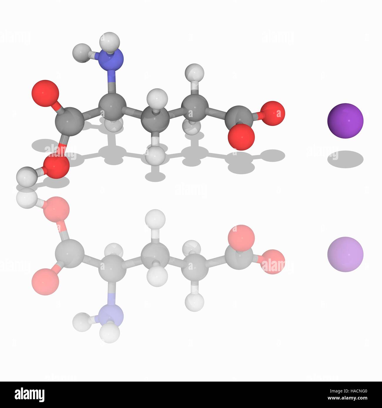 Glutamat Aminosäure