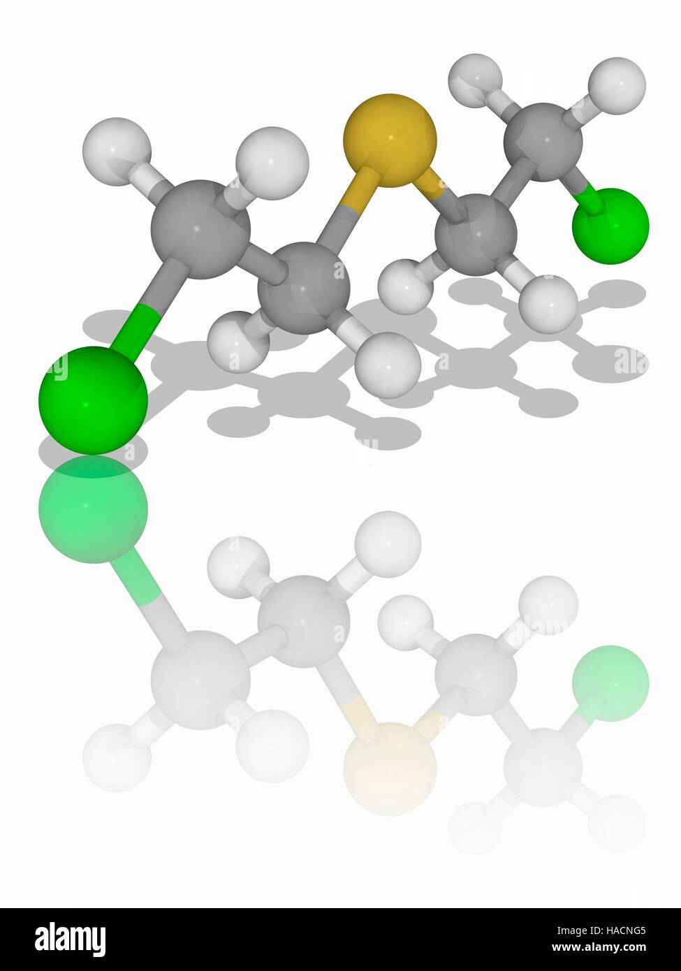 Mustard gas. Molecular model of sulphur mustard (C4.H8.Cl2.S), known as mustard gas. This chemical warfare agent forms large blisters on exposed skin and in the lungs. Atoms are represented as spheres and are colour-coded: carbon (grey), hydrogen (white), sulphur (yellow) and chlorine (green). Illustration. Stock Photo