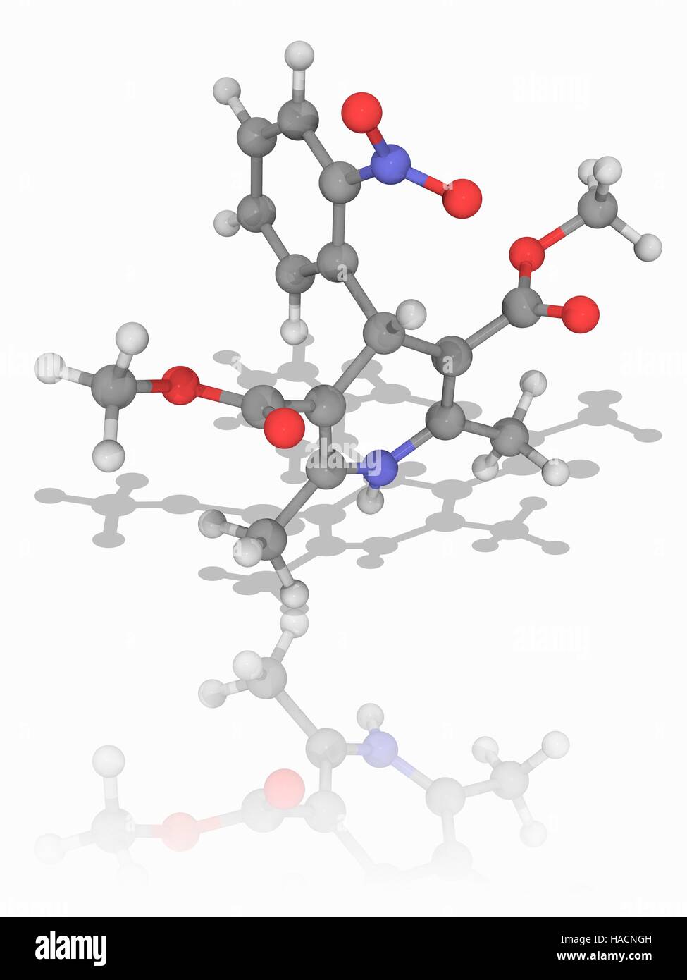 Nifedipine. Molecular model of the drug nifedipine (C17.H18.N2.O6), a dihydropyridine calcium channel blocker used to treat angina and hypertension (high blood pressure). Atoms are represented as spheres and are colour-coded: carbon (grey), hydrogen (white), nitrogen (blue) and oxygen (red). Illustration. Stock Photo
