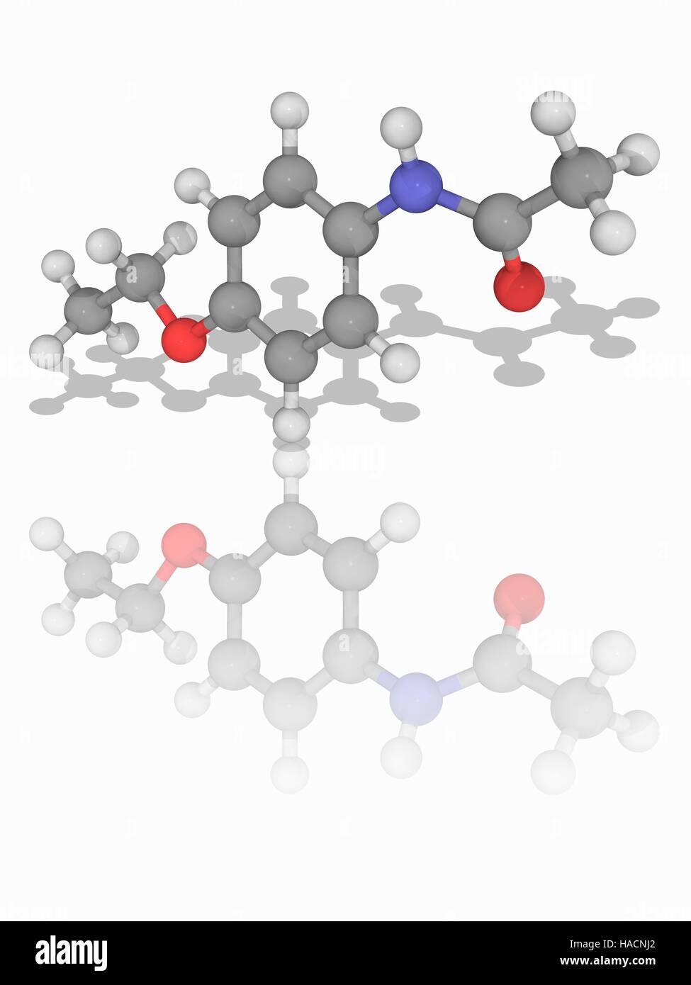 Phenacetin. Molecular model of the analgesic drug phenacetin (C10.H13.N.O2). This use of this drug has declined because of its adverse effects. Atoms are represented as spheres and are colour-coded: carbon (grey), hydrogen (white), nitrogen (blue) and oxygen (red). Illustration. Stock Photo