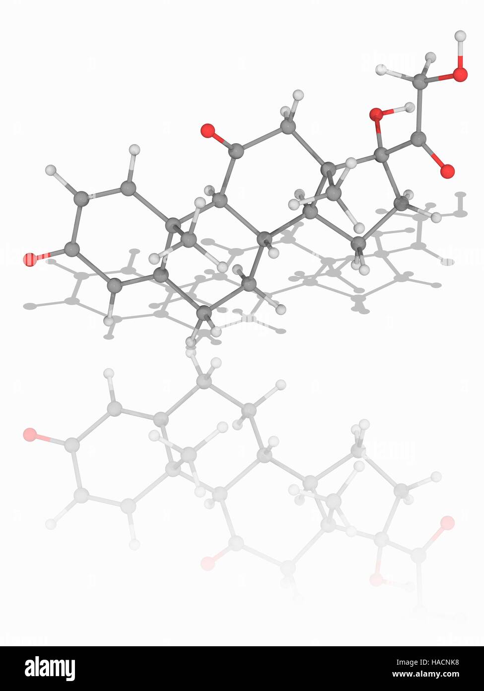 Glutocorticoid hires stock photography and images Alamy
