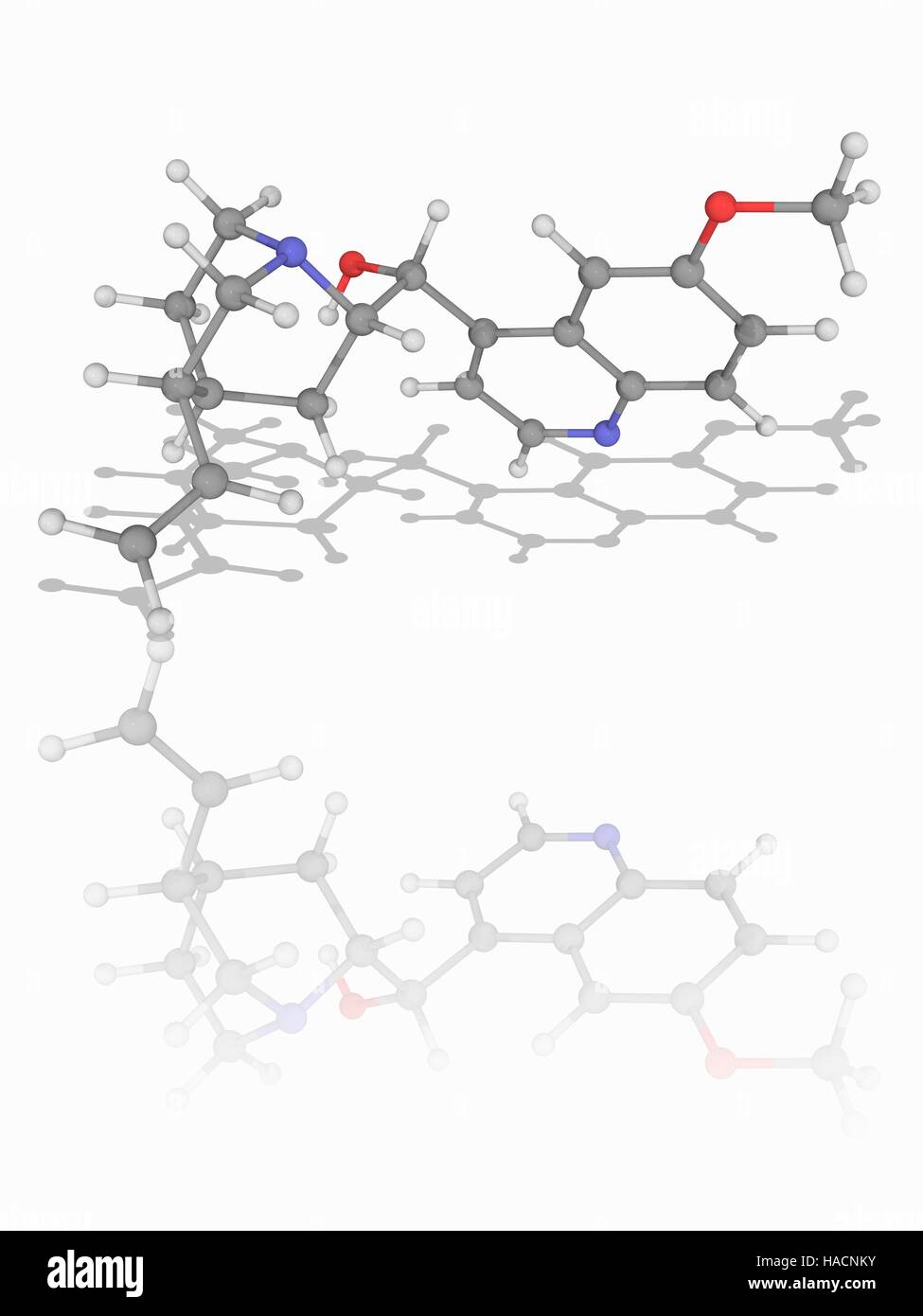 Quinine. Molecular model of the drug quinine (C20.H24.N2.O2), a natural alkaloid with anti-pyretic, anti-malarial, analgesic and anti-inflammatory properties. Atoms are represented as spheres and are colour-coded: carbon (grey), hydrogen (white), nitrogen (blue) and oxygen (red). Illustration. Stock Photo