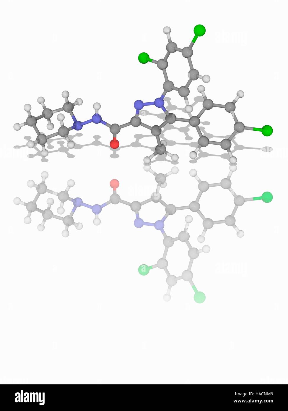 Rimonabant. Molecular model of the drug rimonabant (C22.H21.Cl3.N4.O) that was marketed as Acomplia. This is an anorectic anti-obesity drug that has been withdrawn from the market. Atoms are represented as spheres and are colour-coded: carbon (grey), hydrogen (white), nitrogen (blue), oxygen (red) and chlorine (green). Illustration. Stock Photo