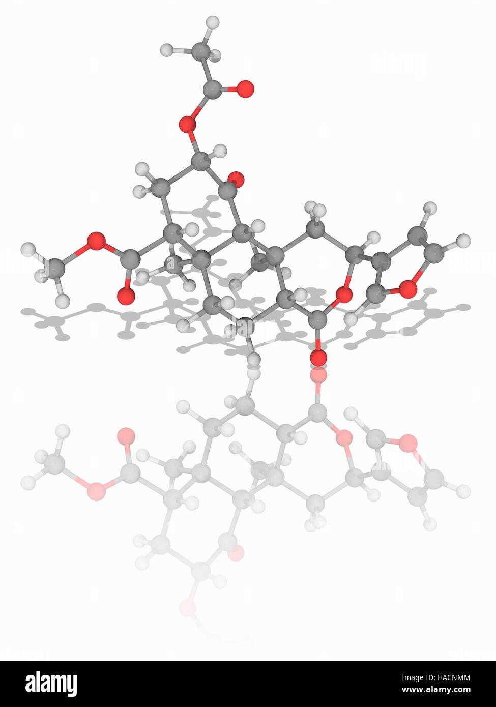 Salvinorin A. Molecular model of the naturally occurring psychotropic drug salvinorin A (C23.H28.O8), found in the Mexican plant Salvia divinorum. Atoms are represented as spheres and are colour-coded: carbon (grey), hydrogen (white) and oxygen (red). Illustration. Stock Photo