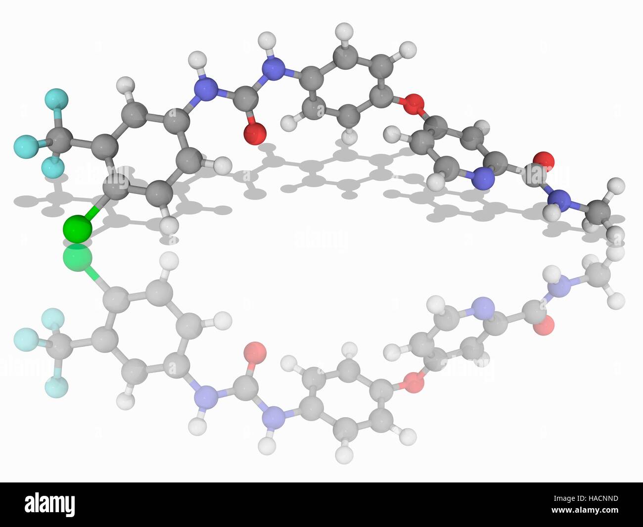 Sorafenib. Molecular model of the drug sorafenib (C21.H16.Cl.F3.N4.O3 ...