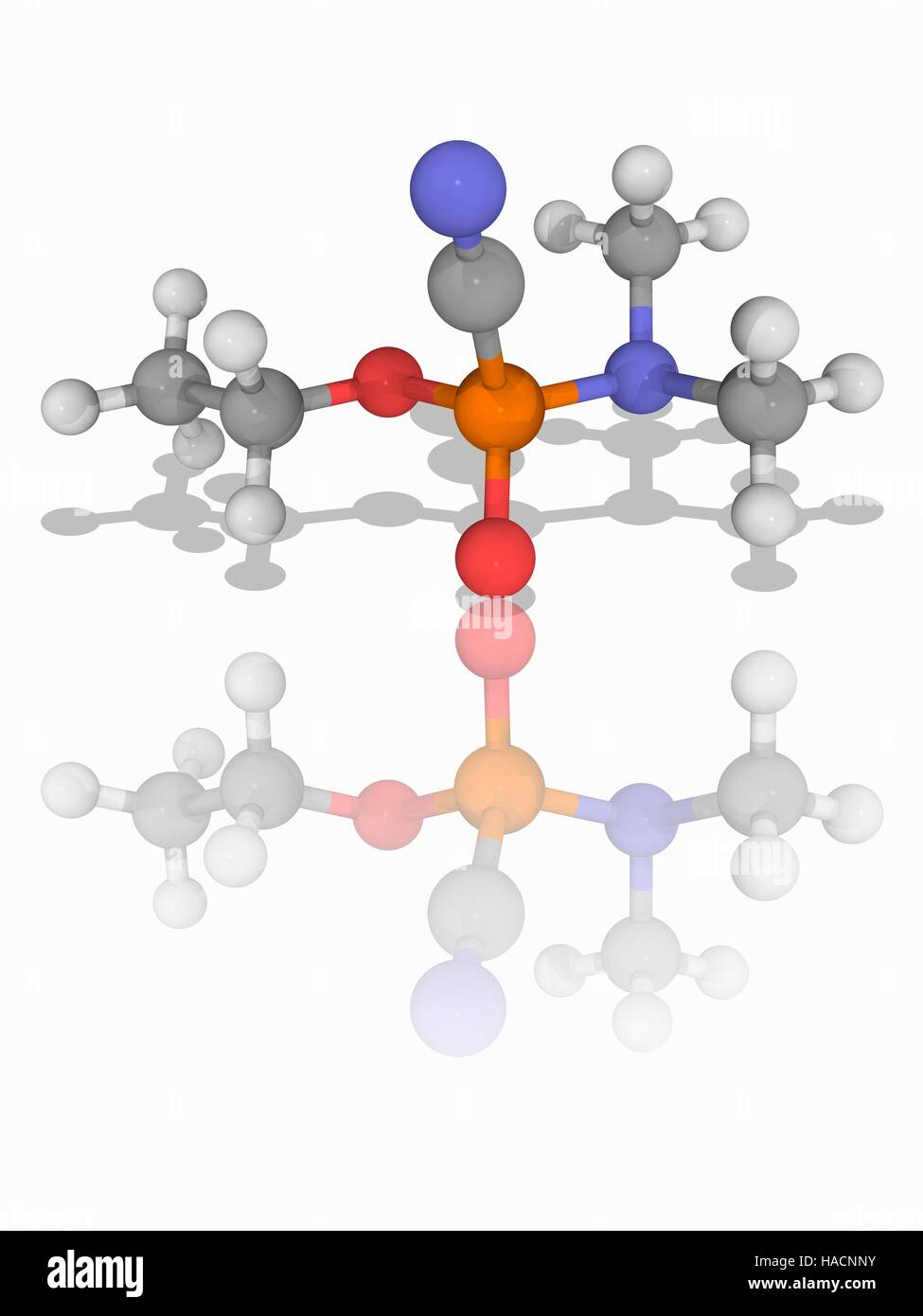 Tabun. Molecular model of the extremely toxic nerve agent tabun (C5.H11.N2.O2.P). Chemically, it is an ethyl ester. It was the first (GA) in the G-series of nerve agent chemical weapons. Atoms are represented as spheres and are colour-coded: carbon (grey), hydrogen (white), nitrogen (blue), oxygen (red) and phosphorus (orange). Illustration. Stock Photo