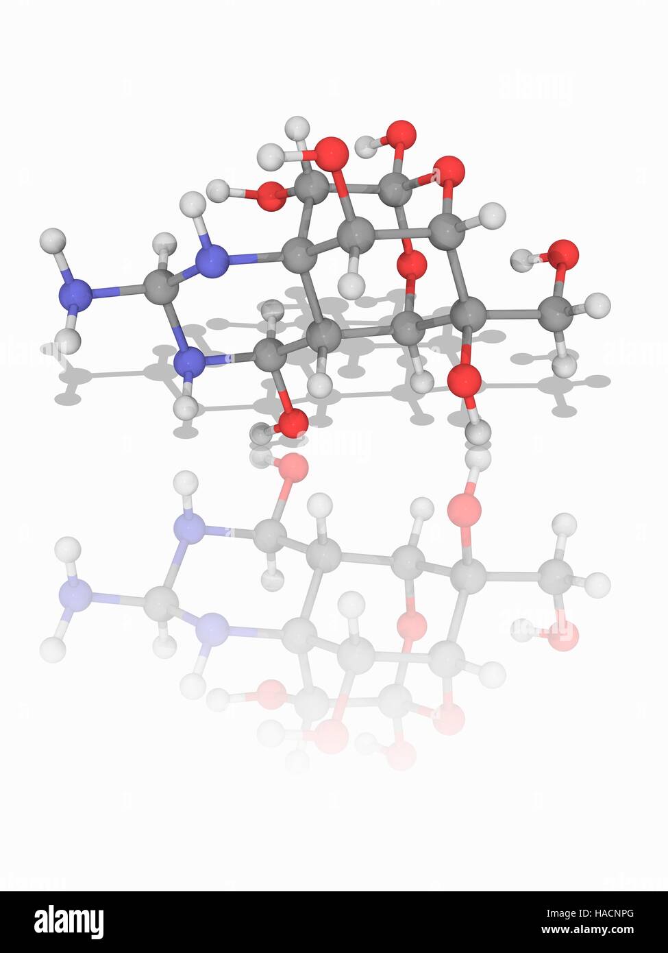 Tetrodotoxin. Molecular model of the potent neurotoxin tetrodotoxin (C11.H17.N3.O8, TTX), found in several marine species including the pufferfish. There is no known antidote. Atoms are represented as spheres and are colour-coded: carbon (grey), hydrogen (white), nitrogen (blue) and oxygen (red). Illustration. Stock Photo