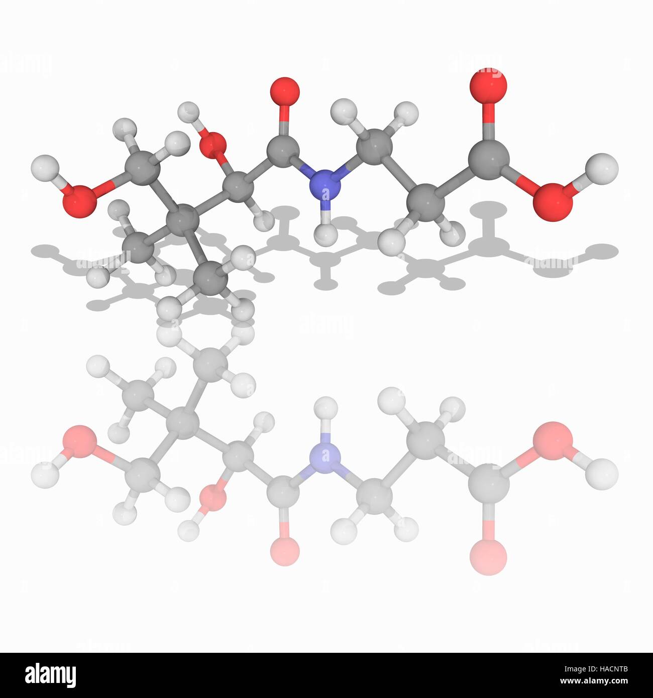 Vitamin B5. Molecular model of pantothenic acid (C9.H17.N.O5), also