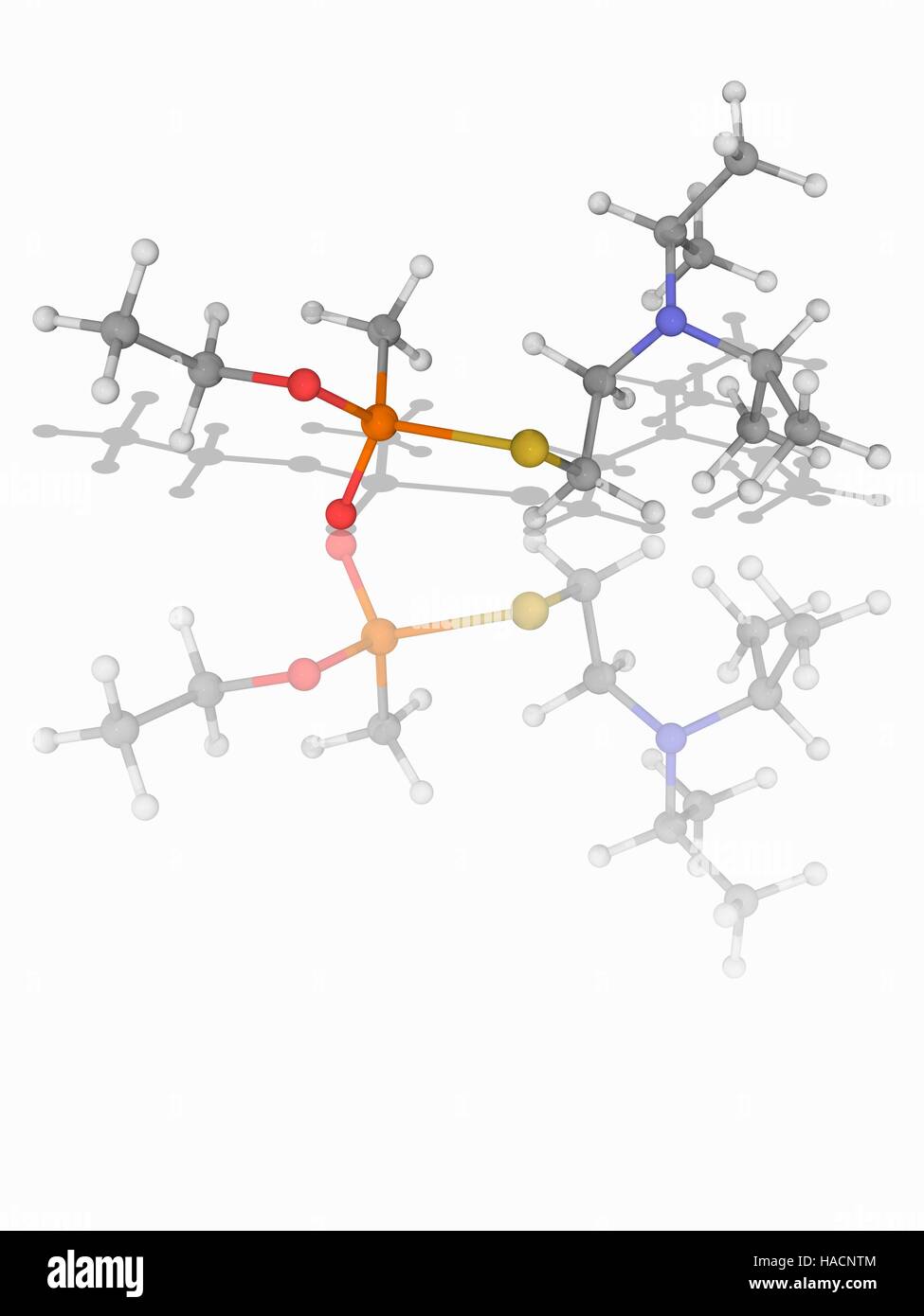 VX nerve gas. Molecular model of the extremely toxic nerve agent VX (C11.H26.N.O2.P.S), used as a weapon of mass destruction in chemical warfare. Atoms are represented as spheres and are colour-coded: carbon (grey), hydrogen (white), nitrogen (blue), oxygen (red), sulphur (yellow) and phosphorus (orange). Illustration. Stock Photo