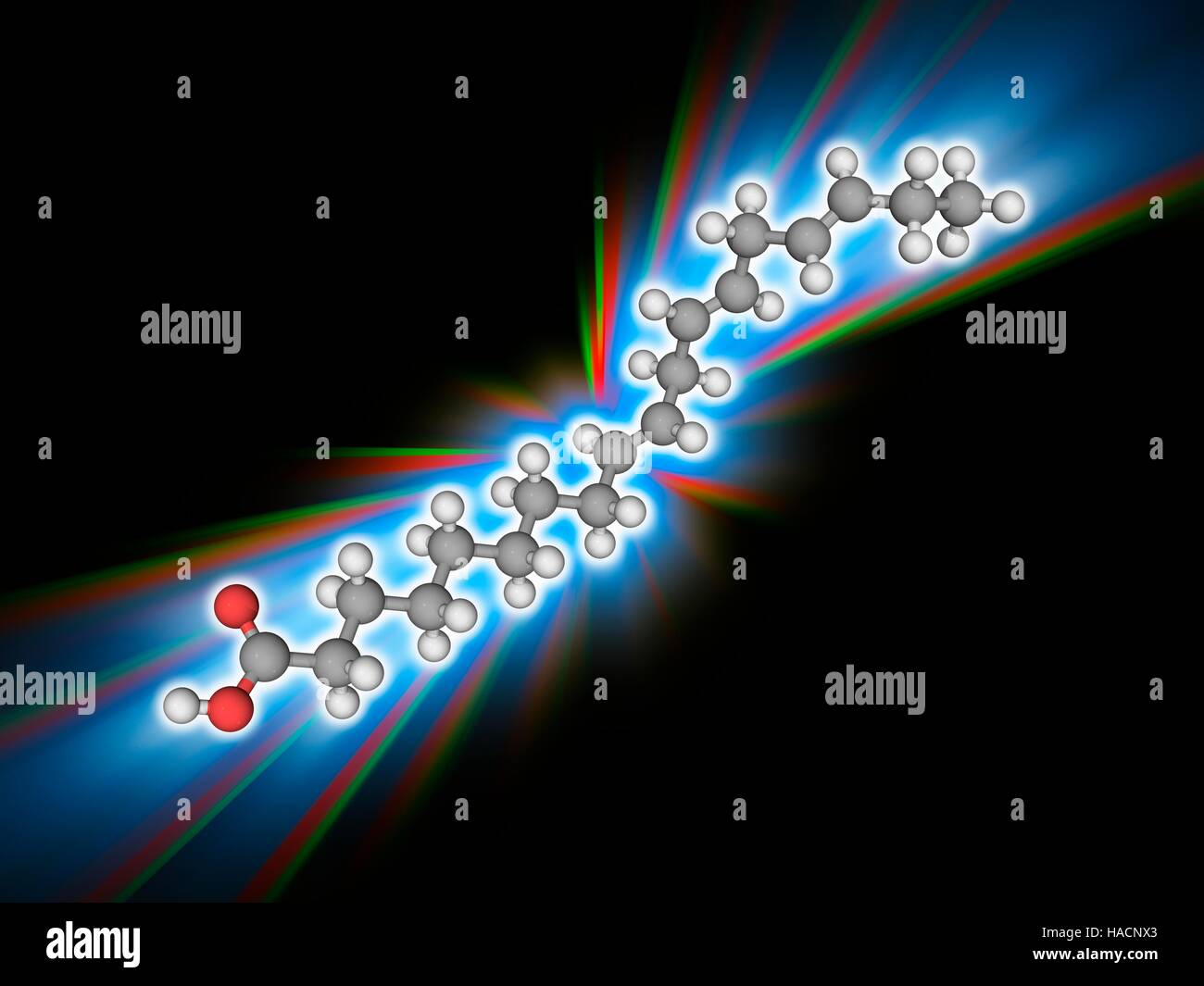 AlphaLinolenic acid. Molecular model of the omega3 fatty acid known