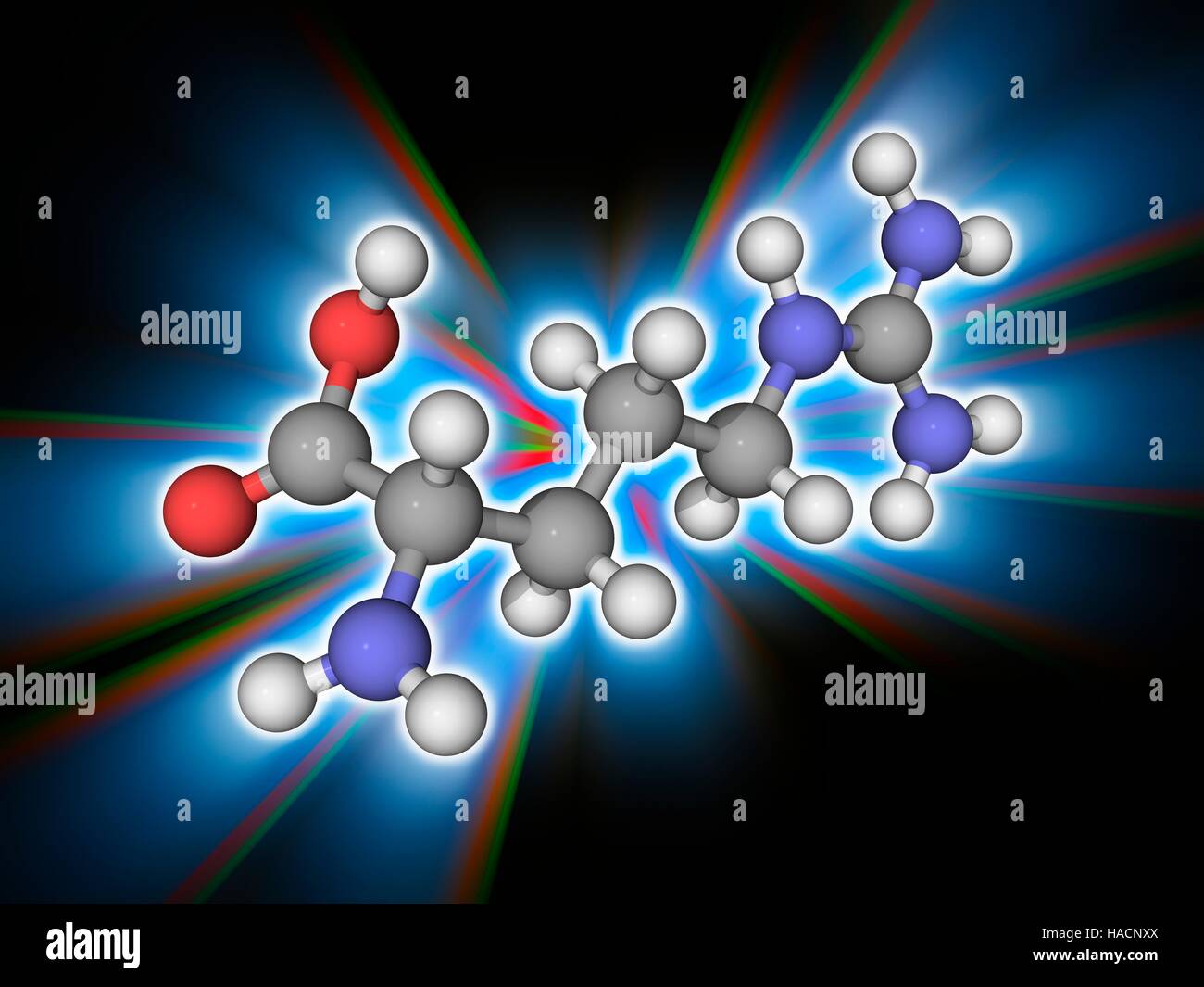 Non essential alpha amino acid hires stock photography and images Alamy