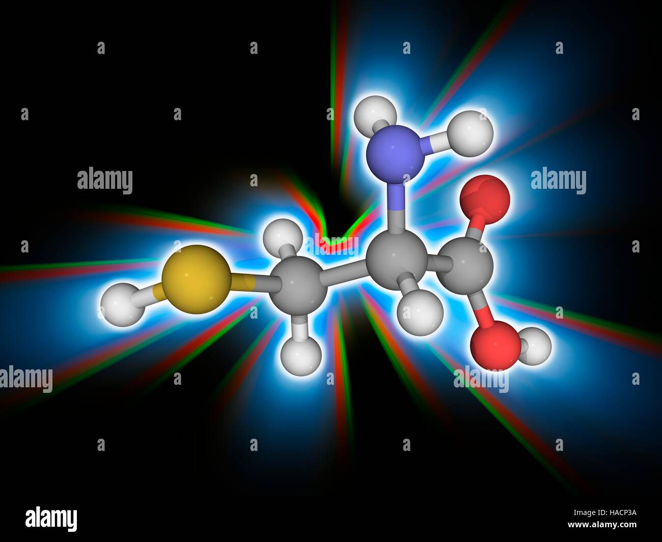 Cysteine. Molecular model of the amino acid cysteine (C3.H7.N.O2.S). Structurally an alpha amino acid, cysteine is a non-essential amino acid. It can be synthesised by the body and so does not need to come from the diet. When used as a food additive, it has the E number E920. Atoms are represented as spheres and are colour-coded: carbon (grey), hydrogen (white), nitrogen (blue), oxygen (red) and sulphur (yellow). Illustration. Stock Photo