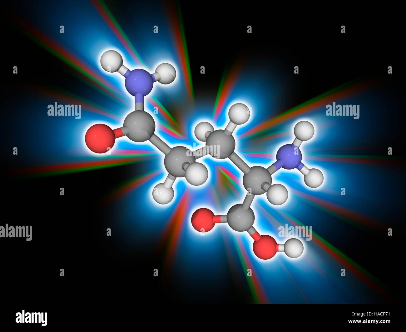 https www alamy com stock photo glutamine molecular model of the amino acid glutamine c5h10n2o3 this 126900005 html