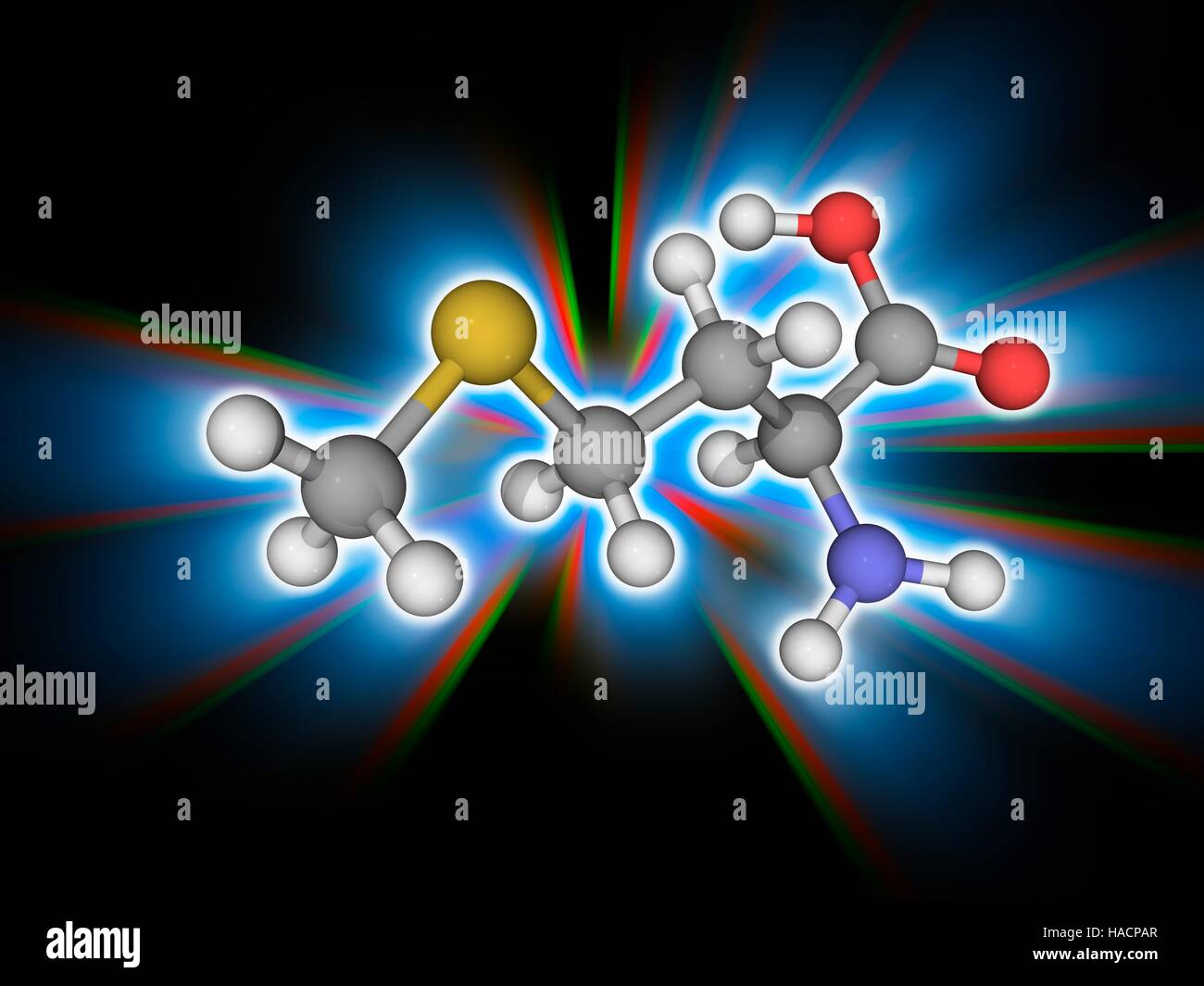Methionine. Molecular model of the essential amino acid methionine (C5