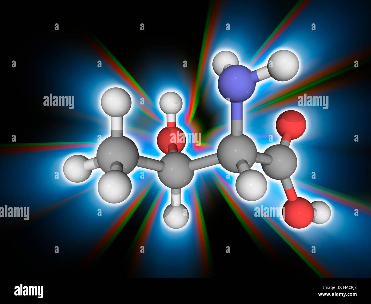 Threonine. Molecular model of the essential alpha-amino acid threonine (C4.H9.N.O3). It is one of the amino acids that is a precursor to proteins (proteinogenic). Atoms are represented as spheres and are colour-coded: carbon (grey), hydrogen (white), nitrogen (blue) and oxygen (red). Illustration. Stock Photo