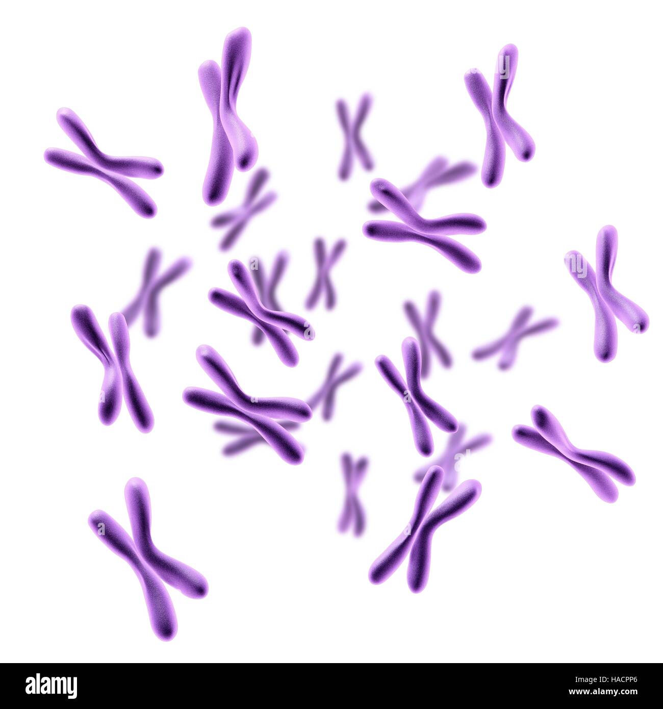 Illustration of chromosomes Stock Photo - Alamy