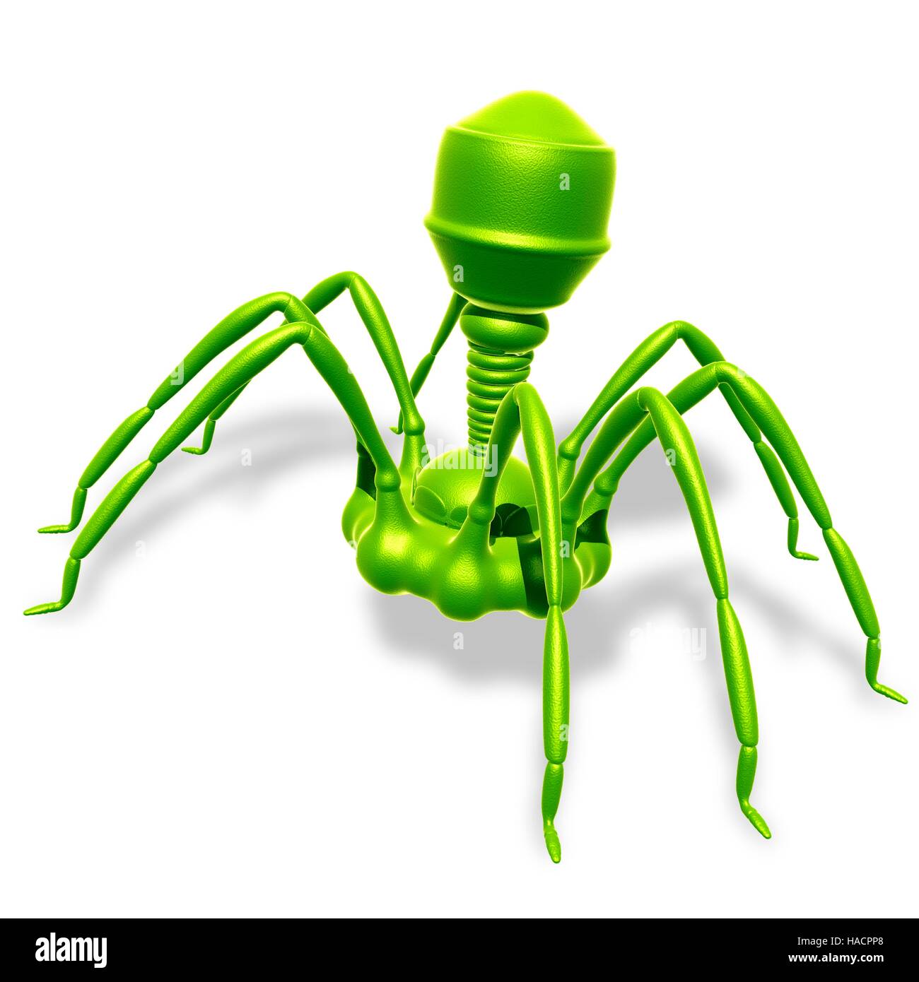Illustration of bacteriophage virus. Stock Photo