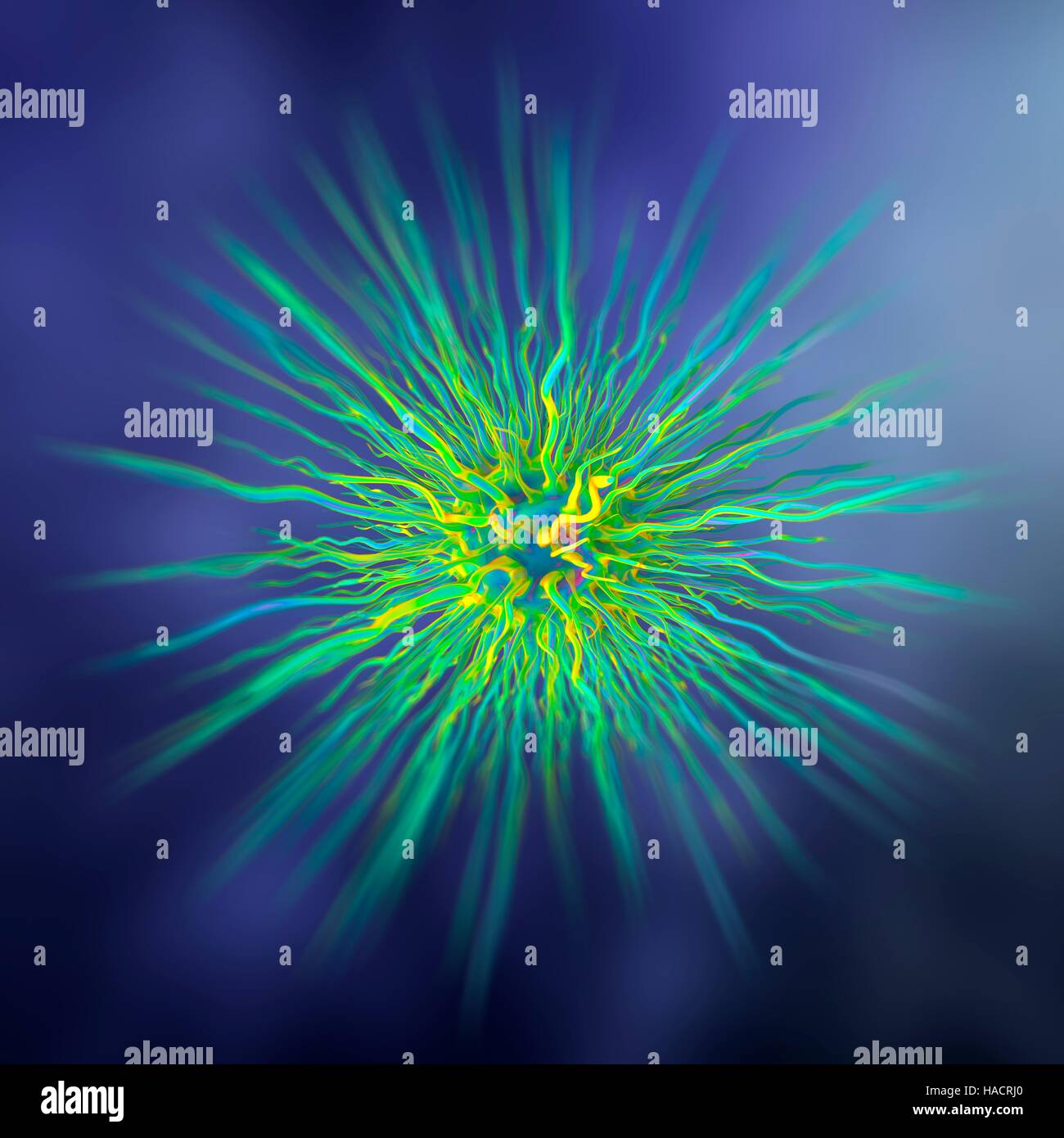 Dendrimer, computer artwork. Dendrimers are artificially created branched polymers. Due to the high degree of molecular customisation during synthesis, they may one day be used for a variety of applications, such as nanotechnology, drug delivery systems, nanoscale batteries, lubricants, catalysts and herbicides. Stock Photo