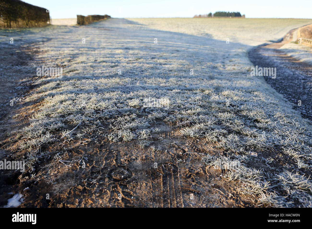Frost lies on a field near Kingsclere, Hampshire, after one of England's coldest nights of the autumn so far this year. Stock Photo