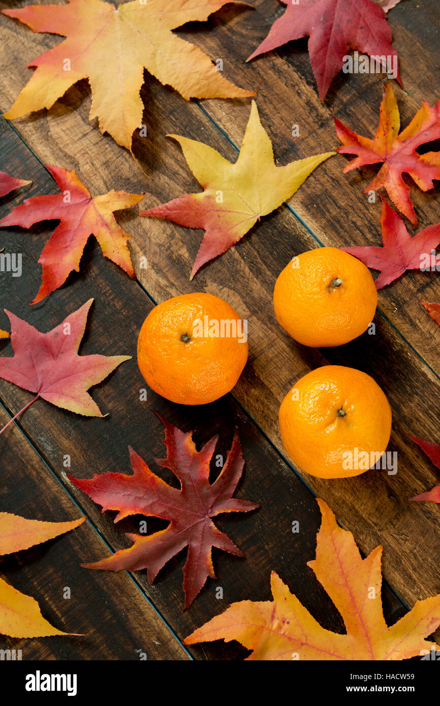 Three mandarins with autumn leaves, season´s fruit Stock Photo Alamy
