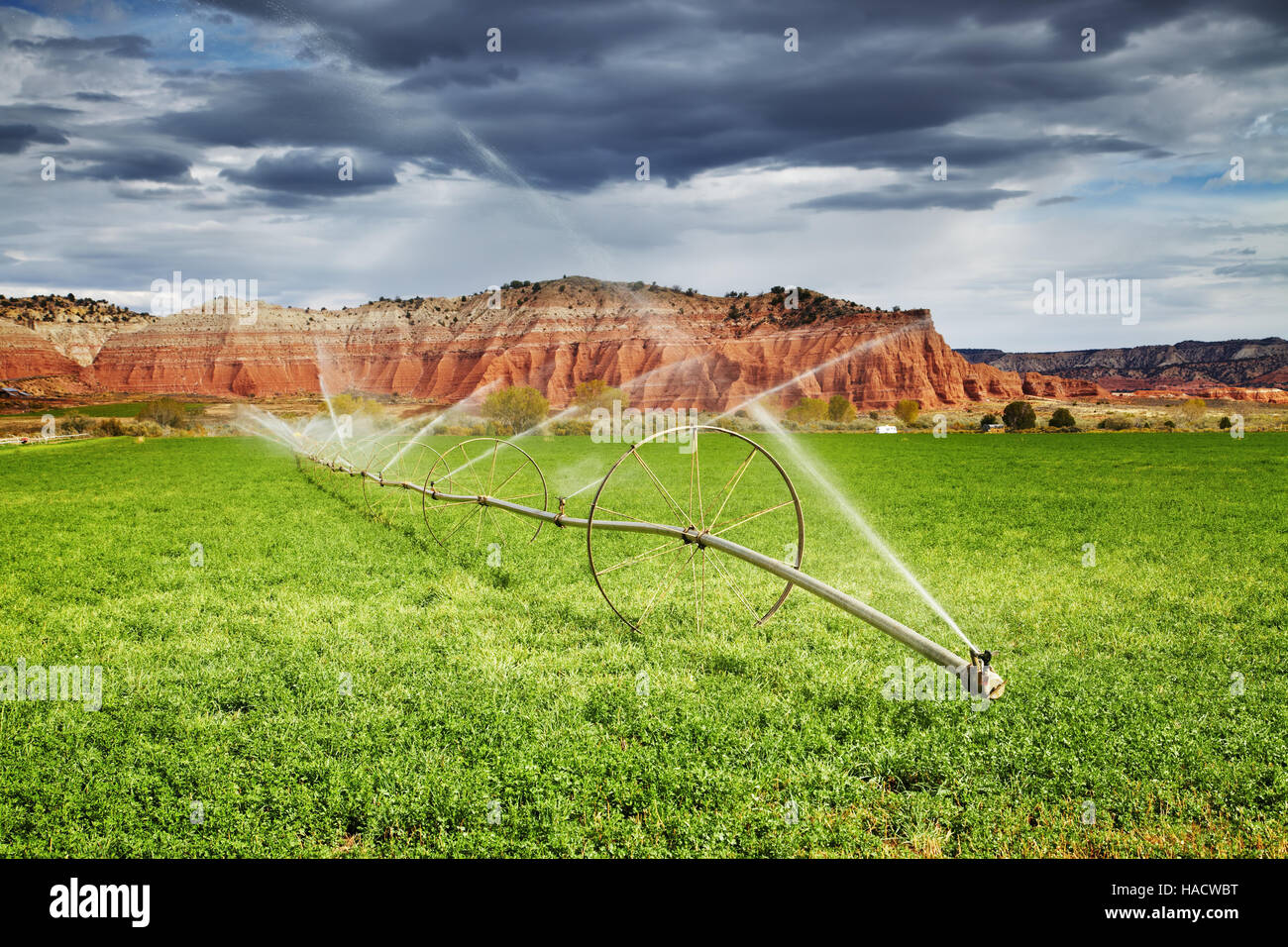 Irrigated agriculture in desert, farm in Utah, USA Stock Photo