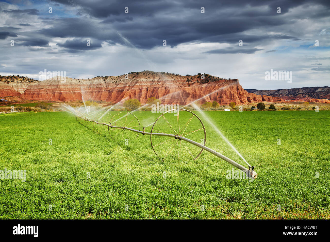 Irrigated agriculture in desert, farm in Utah, USA Stock ...