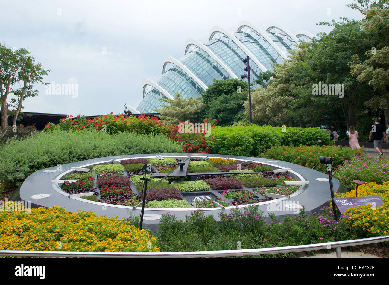 SINGAPORE - JULY 23rd, 2016: Floral clock during mid day with green tree and Dome in the background at Gardens by the Bay Stock Photo