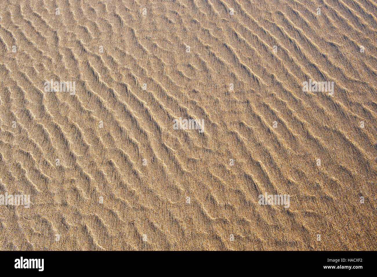Water patterns on sand with shadows and morning light Stock Photo
