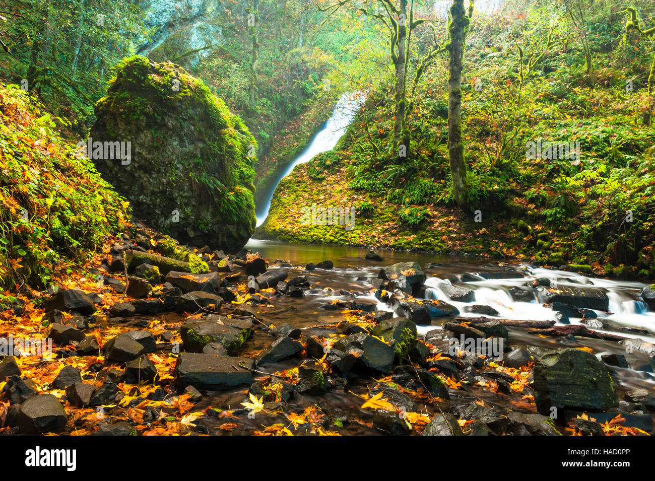 Bridal Veil Falls Trail Oregon Slow Shutter Speed Shot Of A Small Brook Surrounded By Lush Vegetation In The Fall Stock Photo Alamy