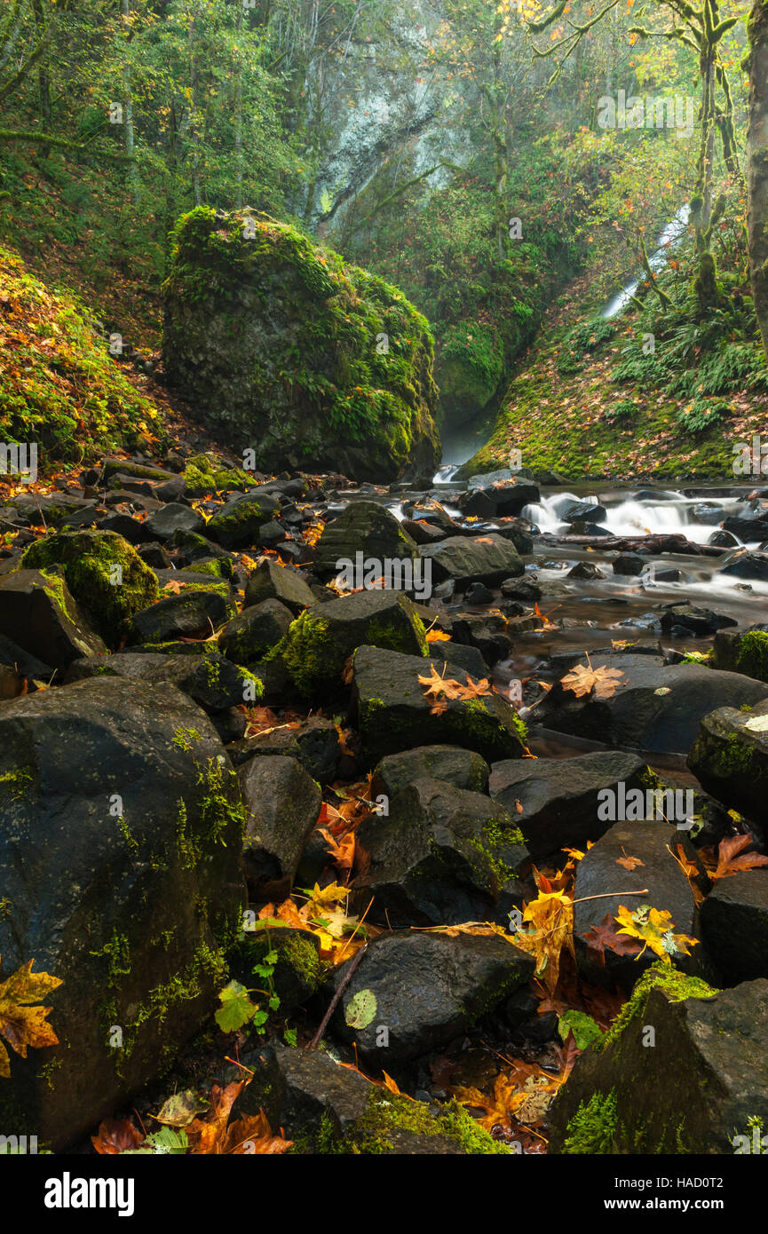 Bridal Veil Falls Trail, Oregon Slow shutter speed shot of a small