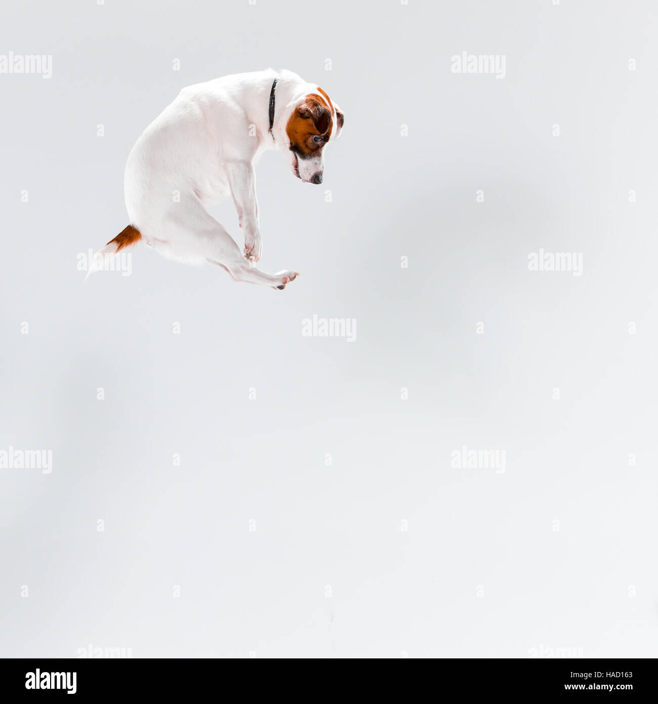 Jumping jack pose hi-res stock photography and images - Alamy