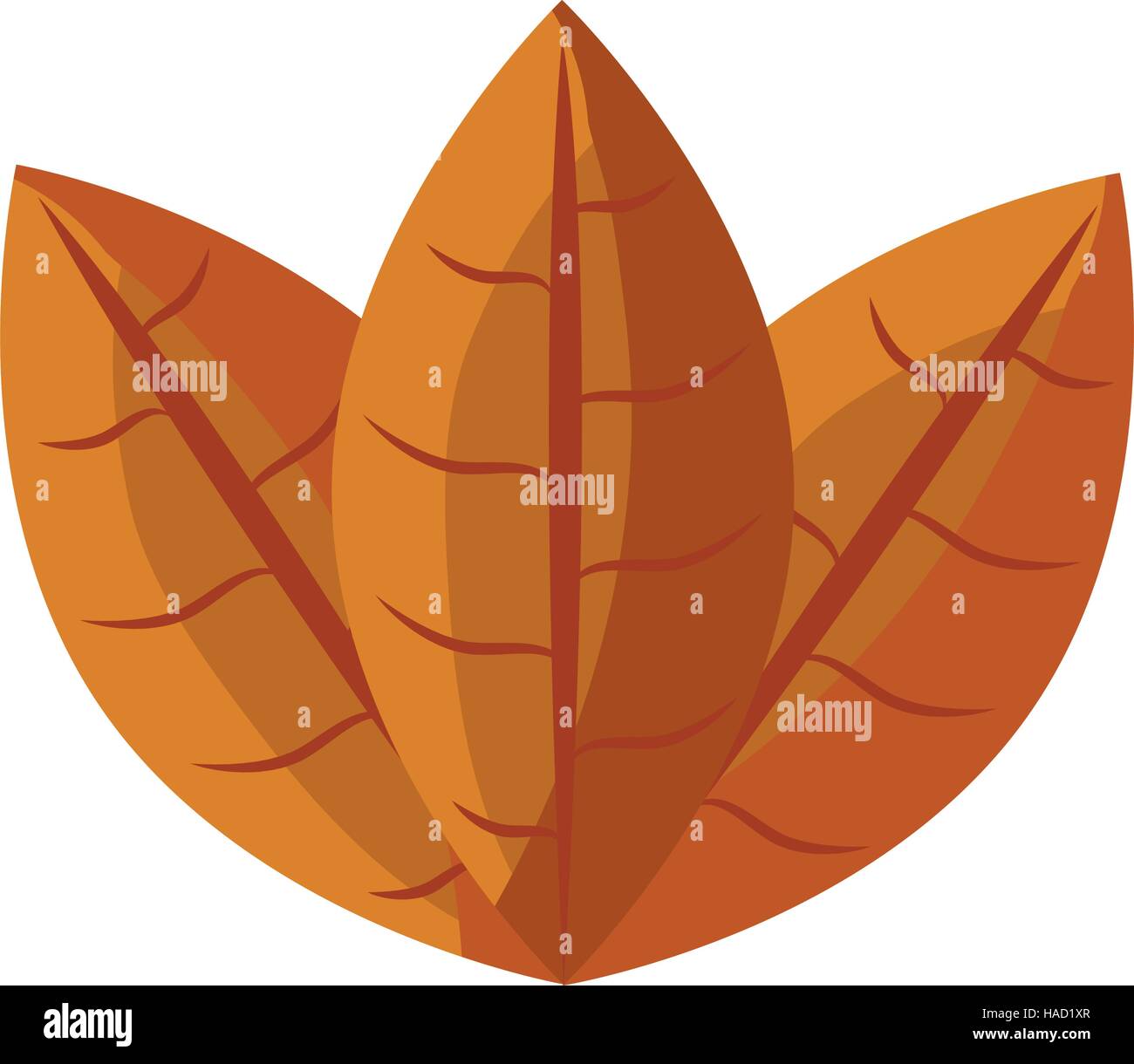 leaf plant isolated icon vector illustration design Stock Vector Image ...