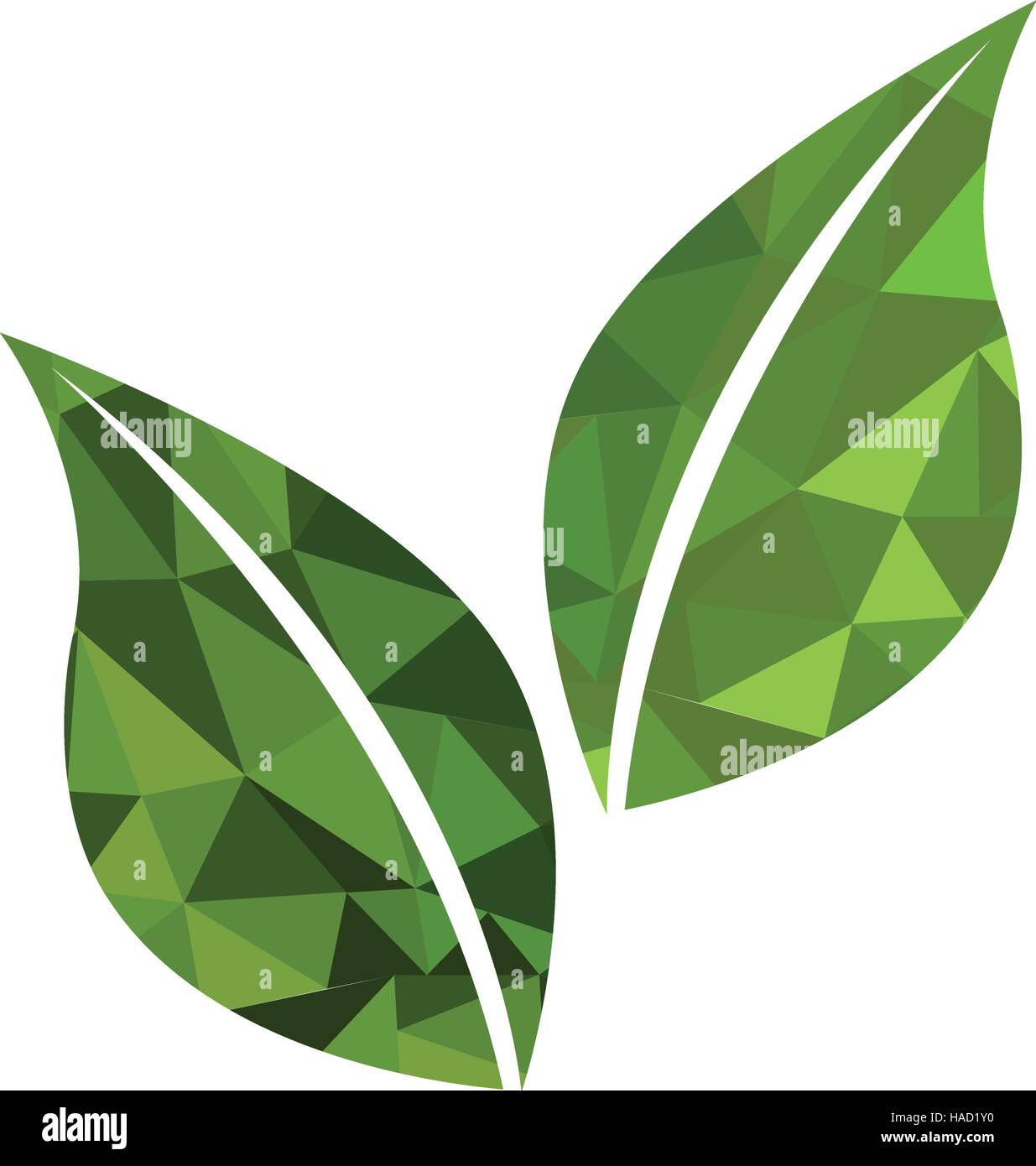 leaf plant isolated icon vector illustration design Stock Vector Image ...