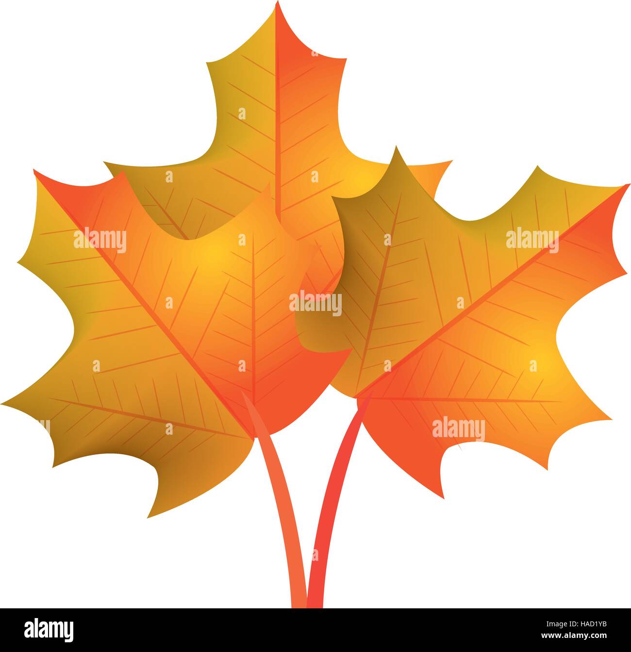 leaf plant isolated icon vector illustration design Stock Vector Image ...