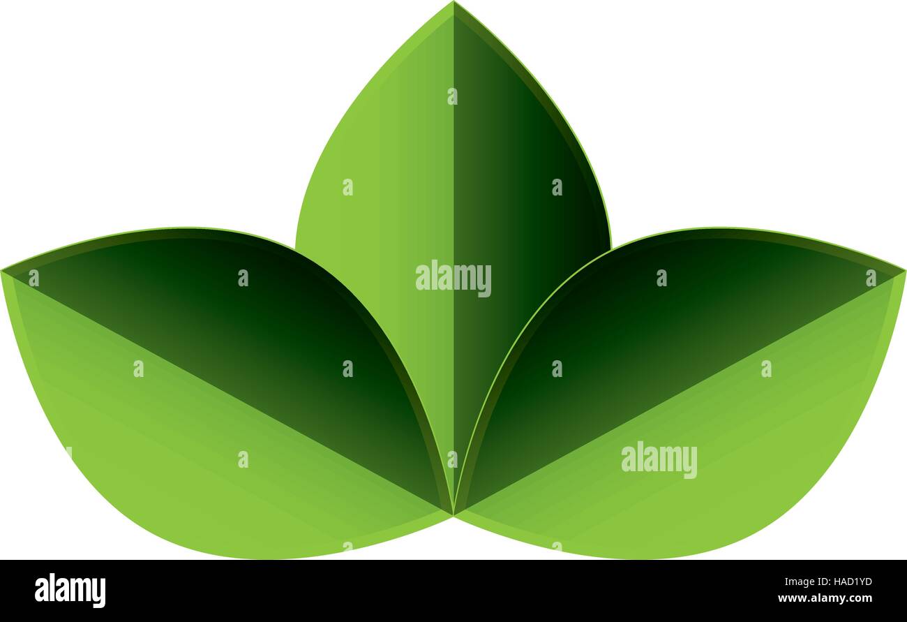 leaf plant isolated icon vector illustration design Stock Vector Image ...