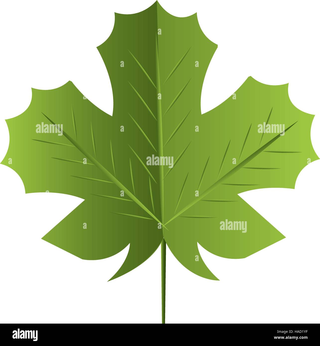leaf plant isolated icon vector illustration design Stock Vector Image ...