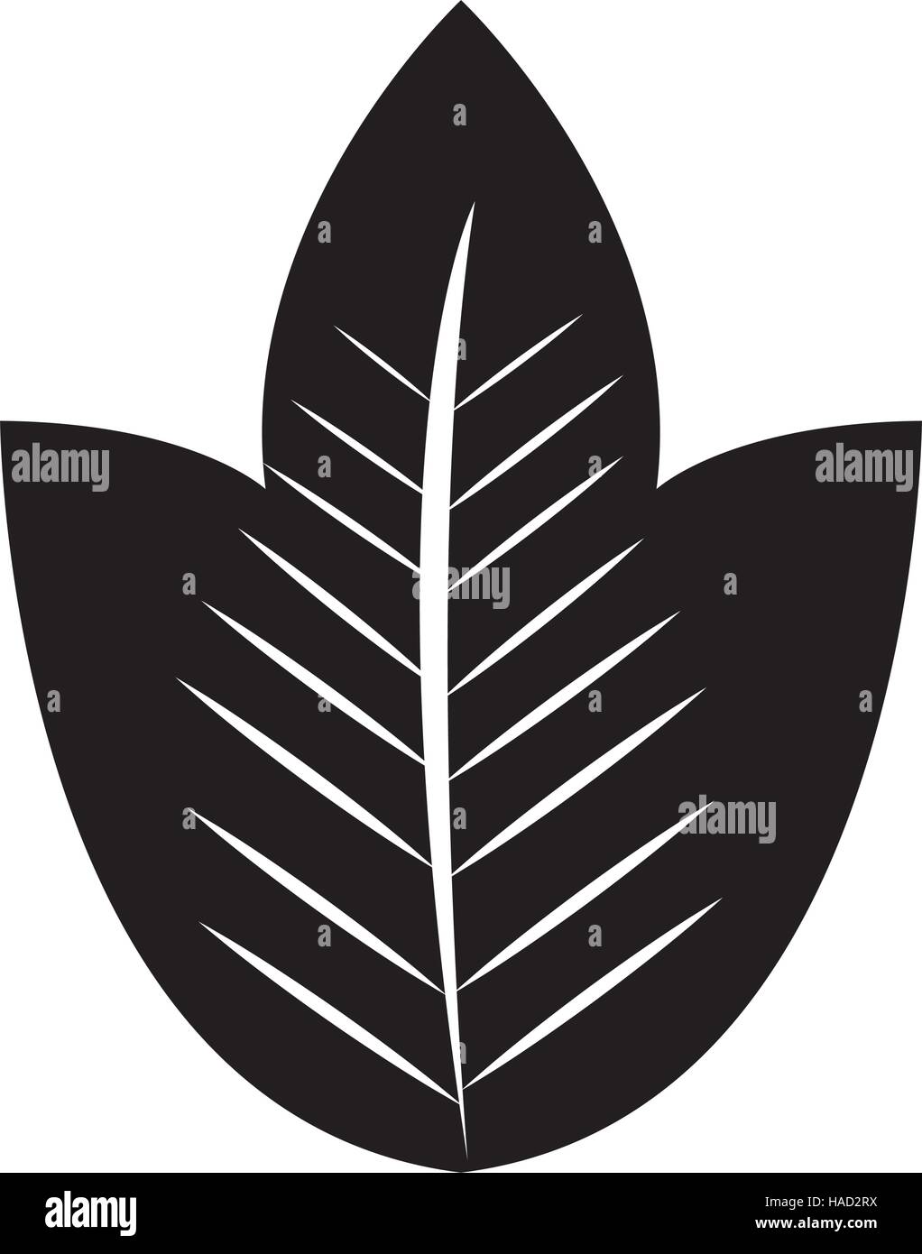 leaf plant isolated icon Stock Vector Image & Art - Alamy