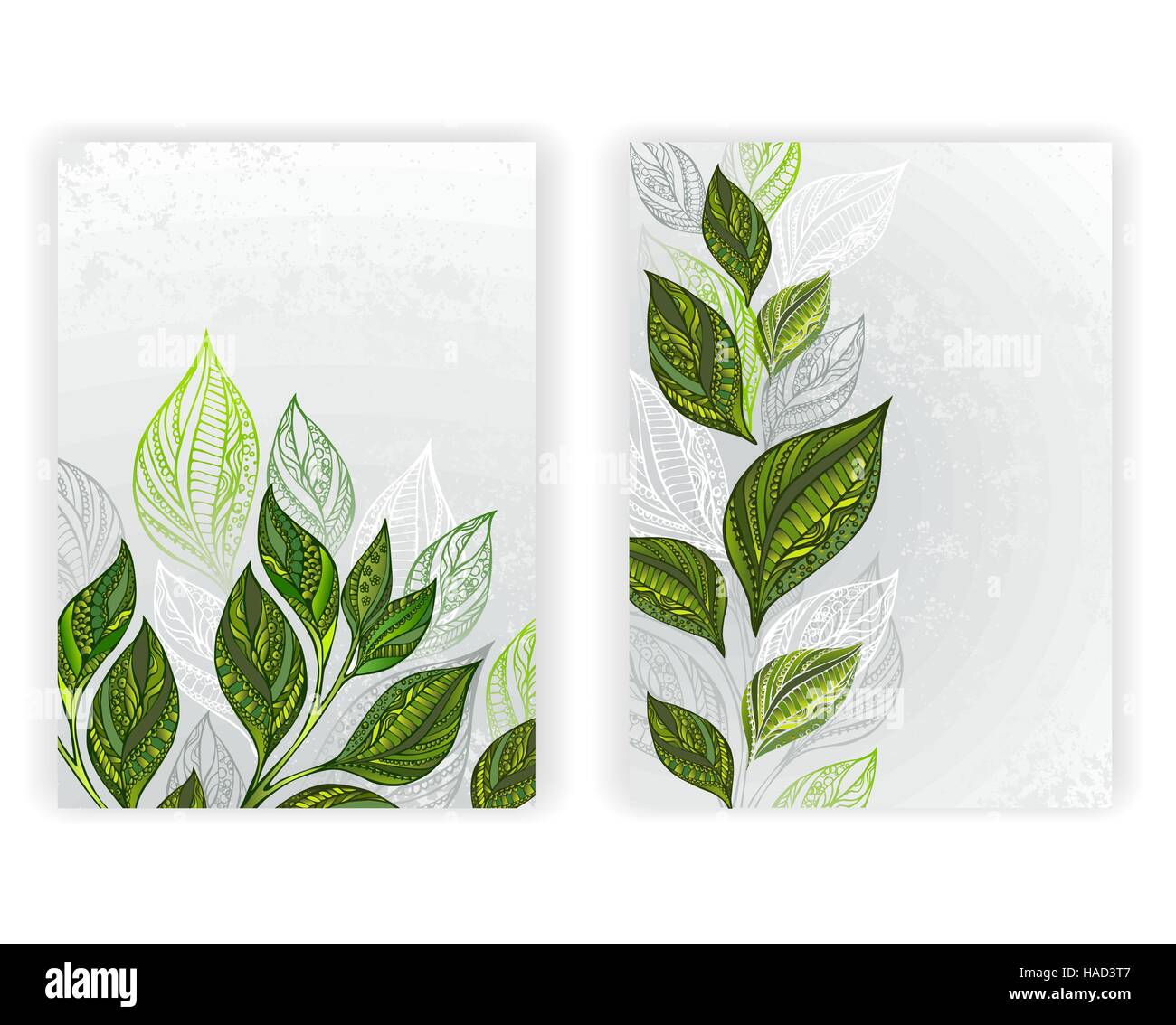 Design with patterned, green and gray leaves of tea on a gray textural background. Tea design.  layout in A4 size. Stock Vector