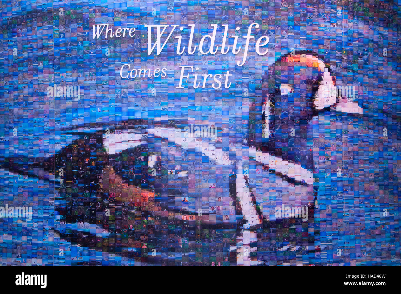 https://c8.alamy.com/comp/HAD48W/kettle-pond-visitor-center-display-ninigret-national-wildlife-refuge-HAD48W.jpg