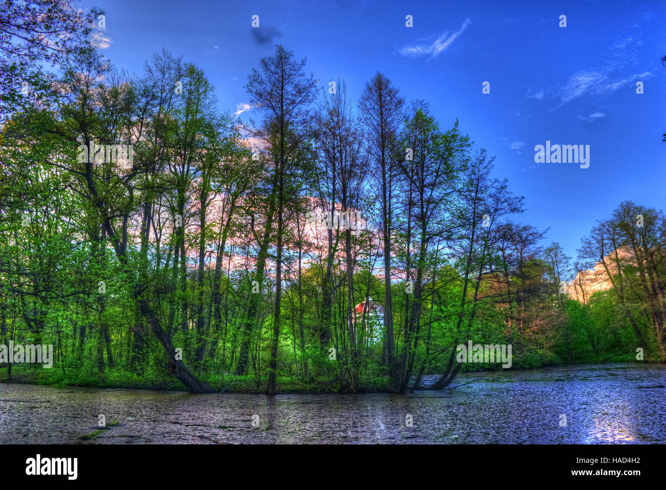 Summer landscape. Green trees around the lake Stock Photo - Alamy
