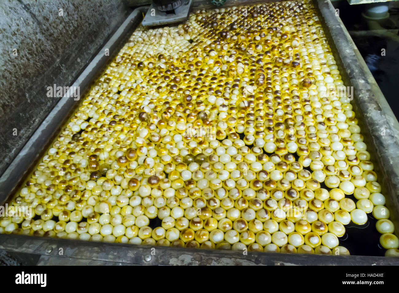 Ping pong balls floating in acid bath in metal tray. Stock Photo