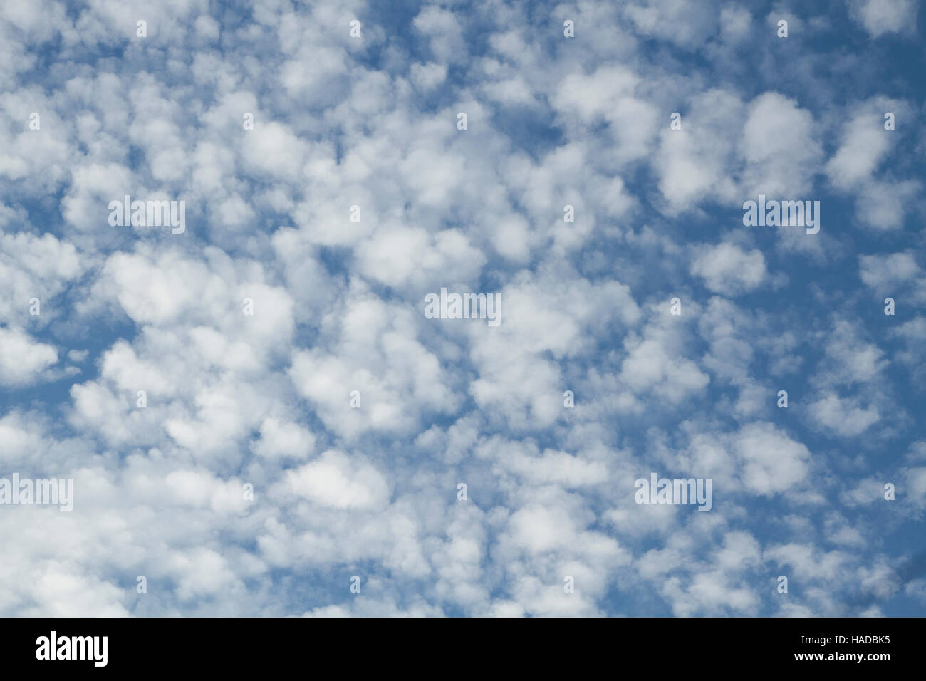 Fluff clouds hi-res stock photography and images - Alamy