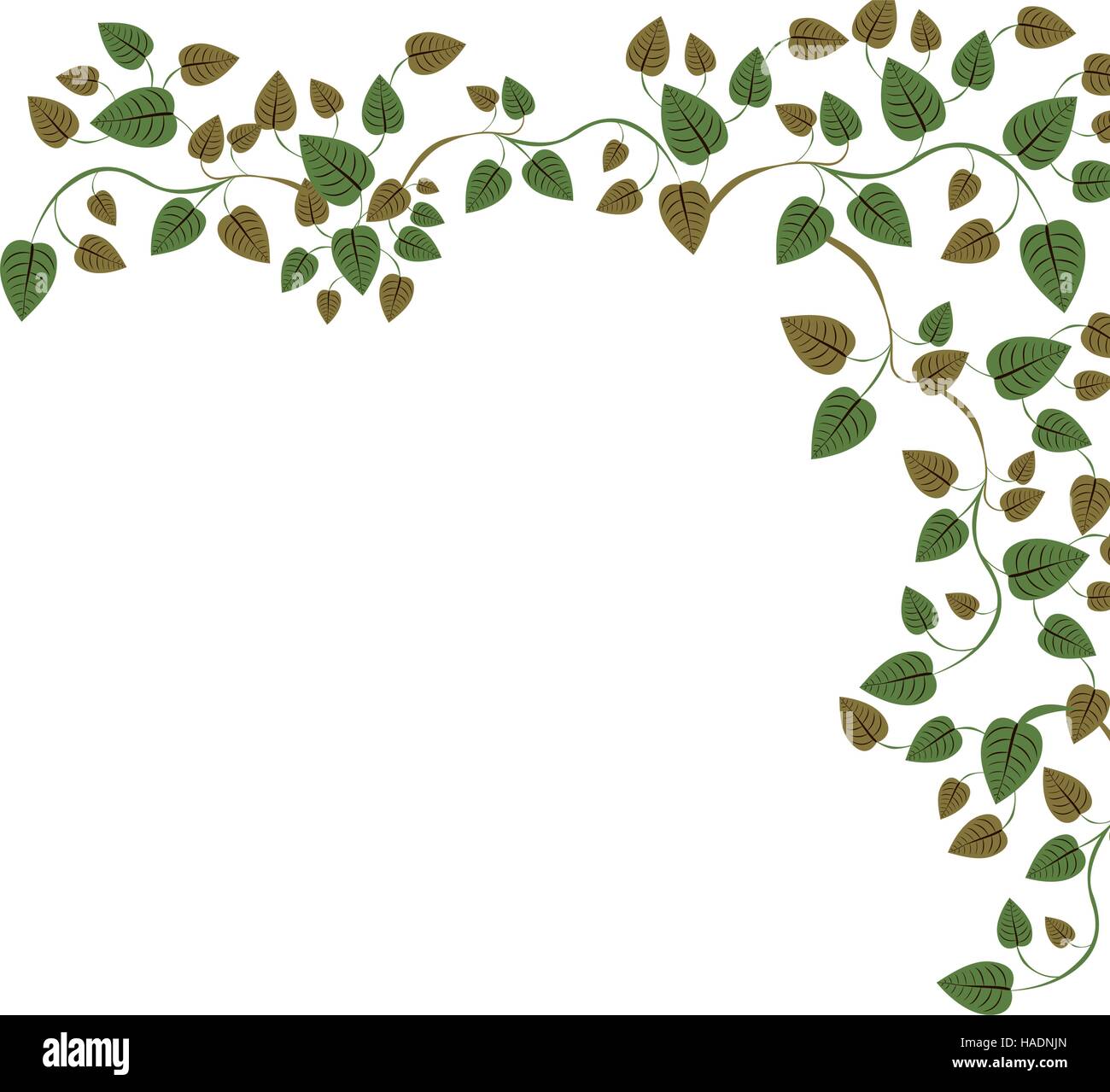 border side with ivy and leaves vector illustration Stock Vector Image