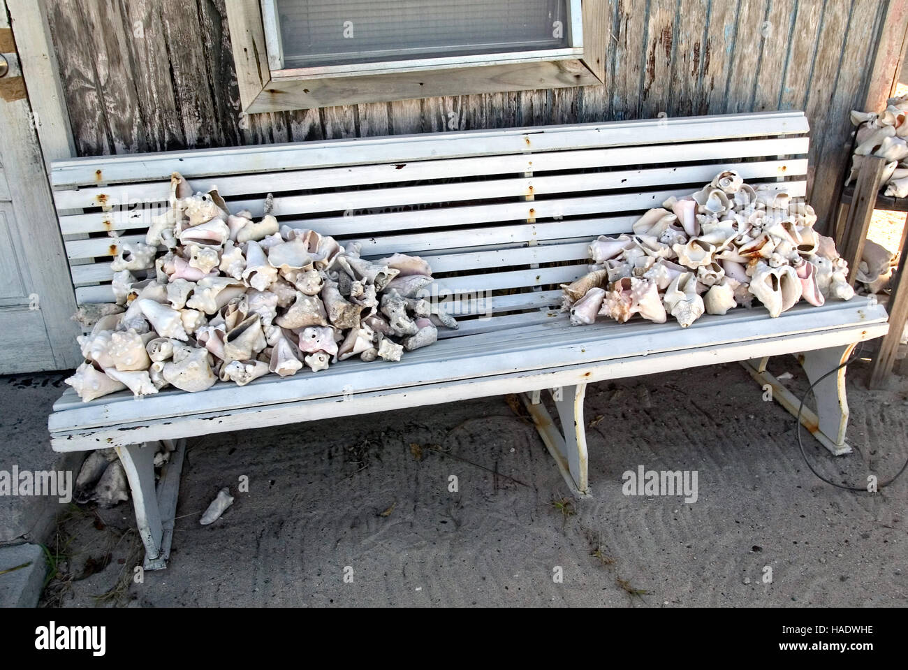 Conch home hi-res stock photography and images - Alamy